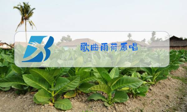 歌曲雨荷原唱 在线图片